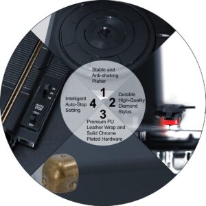 61xWECprC8L._SL1200_